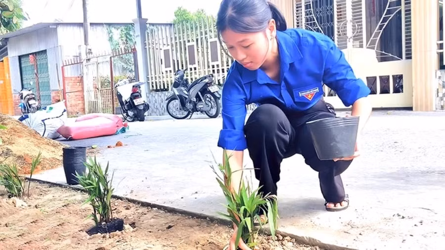 Lâm Nguyễn Việt Uyên tham gia trồng cây xanh tại thành phố Sa Đéc nhân Tháng Thanh niên. Ảnh: NVCC