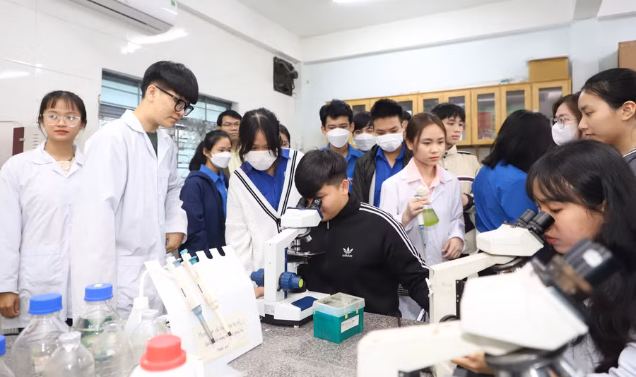 Sinh viên Trường Đại học Sư phạm (Đại học Đà Nẵng). Ảnh: NTCC