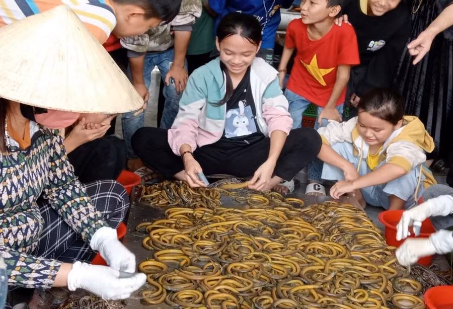 Học sinh trải nghiệm cách sơ chế lươn đồng tại địa bàn xóm Phan Thanh (Nghệ An).