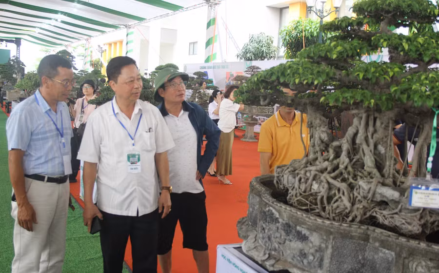 nganh-hoa-cay-canh-2.jpg