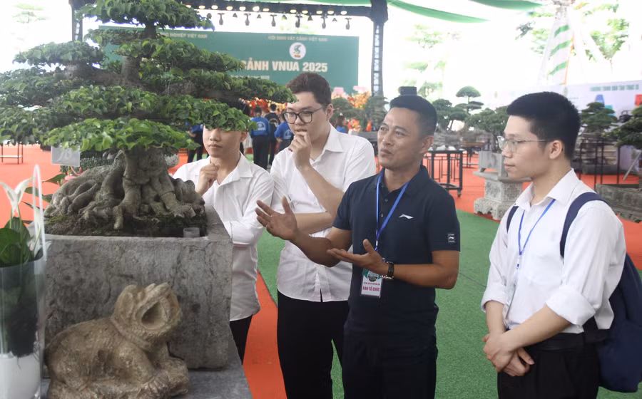 Ông Lê Đức Nam hướng dẫn sinh viên Học viện Nông nghiệp Việt Nam về chăm sóc, tạo thế cho cây cảnh. Ảnh: TG