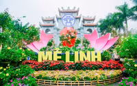 m1.jpg