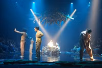 7-8216.jpg