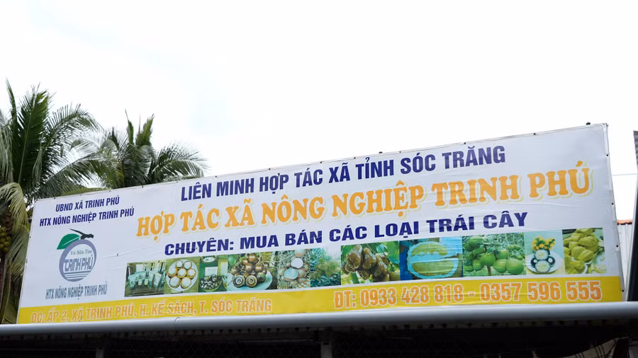 mh-vu-sua-9.jpg