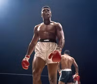 ali-timelineheader2.jpg