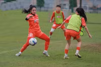 img-0608-scaled-e1762772448225.jpg