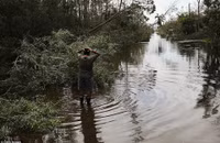 Quang cảnh bang Florida hậu bão Irma ảnh 3
