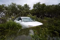 Chùm ảnh bão Idalia tàn phá Florida