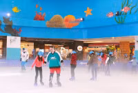 Trại hè độc đáo tại Vinpearl Land ảnh 3 Trại hè độc đáo tại Vinpearl Land ảnh 3