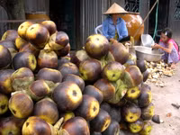 Nghề "độc": "Ăn cơm dưới đất, làm việc trên trời” ảnh 17 Nghề "độc": "Ăn cơm dưới đất, làm việc trên trời” ảnh 17
