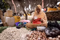 Chùm ảnh phụ nữ Sudan hết hy vọng trong trại tị nạn ở Chad