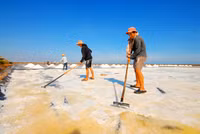 Về miền Tây xem muối mặn mồ hôi rơi ảnh 2 Về miền Tây xem muối mặn mồ hôi rơi ảnh 2