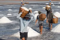 Về miền Tây xem muối mặn mồ hôi rơi ảnh 9 Về miền Tây xem muối mặn mồ hôi rơi ảnh 9