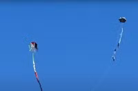 Hình ảnh những cánh diều trên bầu trời Gaza