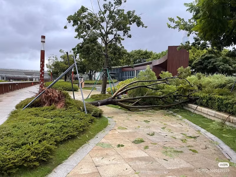 Hình ảnh bão Saola đổ bộ Trung Quốc với sức gió đáng sợ