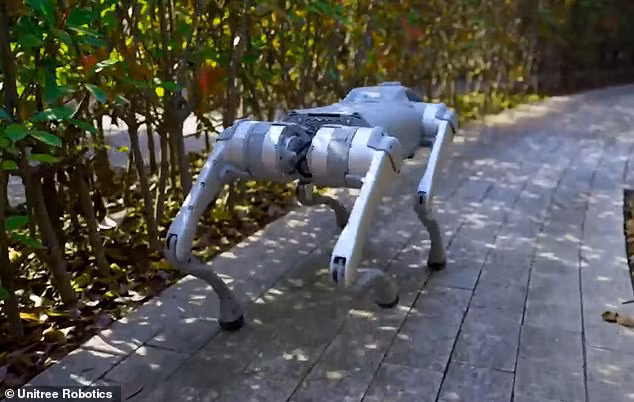 Tên của dòng robot này có thể liên quan đến trò chơi cờ vây cổ xưa của Trung Quốc, nổi tiếng về kỹ năng và độ phức tạp của nó. Chùm ảnh robot chó cưng giá 1.600 USD