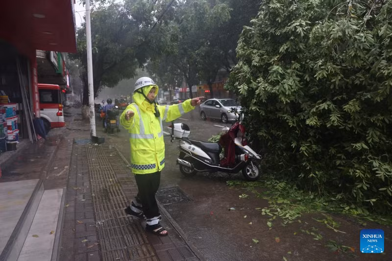 Chùm ảnh bão Talim quật đổ cây, hoành hành ở Trung Quốc 