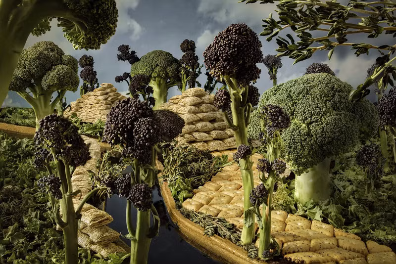 Ảnh Amazonian Foodscape (Ẩm thực Amazon) của nhiếp ảnh gia Đan Mạch Kim Bainbridge. Nhiếp ảnh gia Việt Nam giành giải cuộc thi Pink Lady 2023