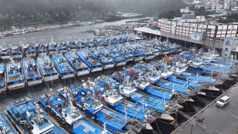 Tại Hàn Quốc, khoảng 350 chuyến bay và 450 tuyến tàu hỏa bị hủy, hơn 14.000 người đã được chuyển đến nơi an toàn, Bộ Nội vụ cho biết. Chùm ảnh mưa lũ hoành hành, Hàn Quốc hủy 350 chuyến bay