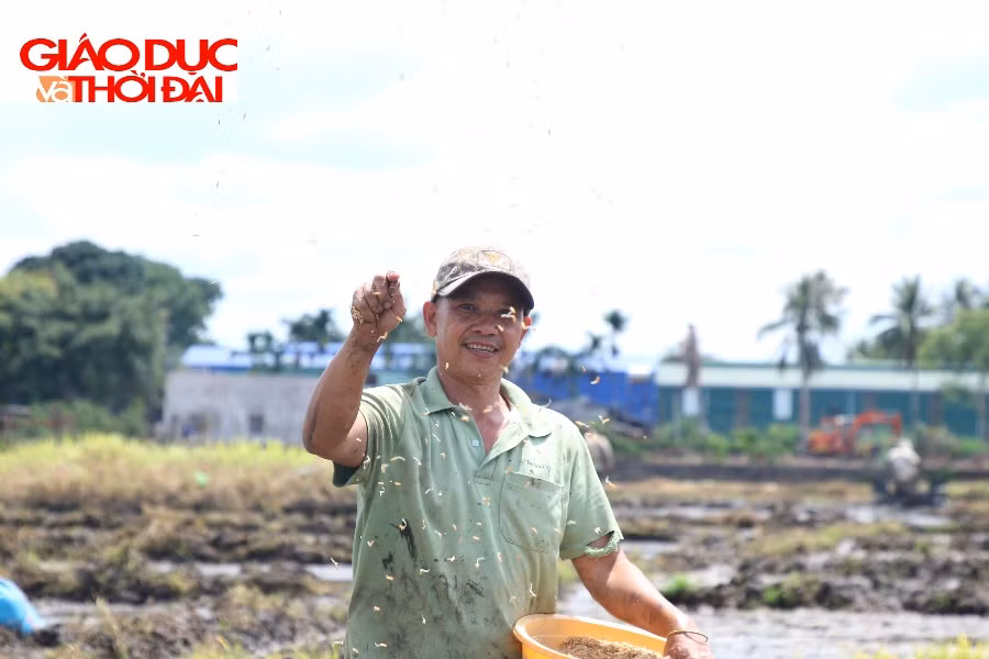 Nông dân Đắk Lắk gieo lúa vụ Hè Thu 2026.