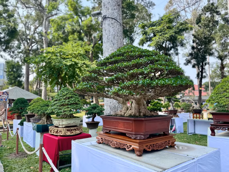 Hội hoa còn là nơi quy tụ các nghệ nhân ở khắp nơi trên cả nước đến trưng bày các loại hoa cảnh, bonsai. img-7802.jpg