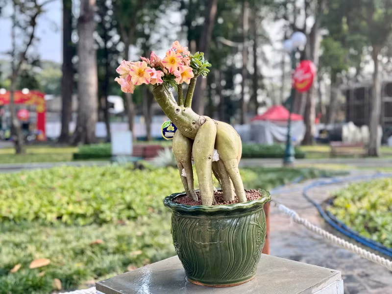 Các tác phẩm khác được nghệ nhân kỳ công chế tác. img-7744.jpg