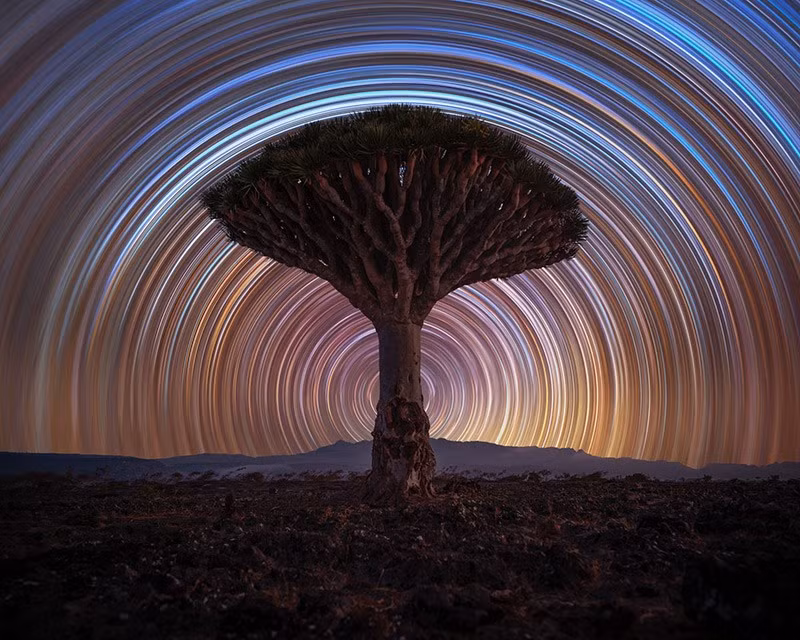 Bức ảnh lọt top 101 chụp ở Socotra, Yemen của tác giả Benjamin Barakat. giai-thuong-nhiep-anh-phong-canh-quoc-te-2024-09.jpg