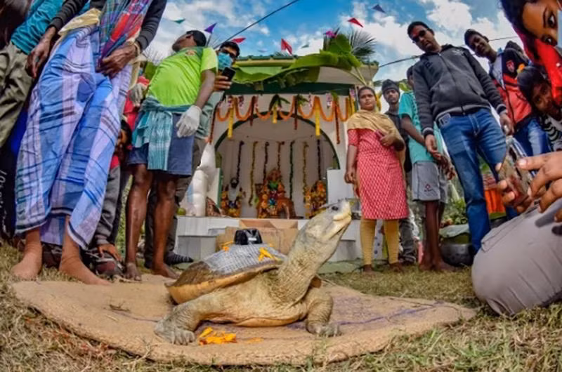Mangrov-Photography-Awards-2024-11.jpg