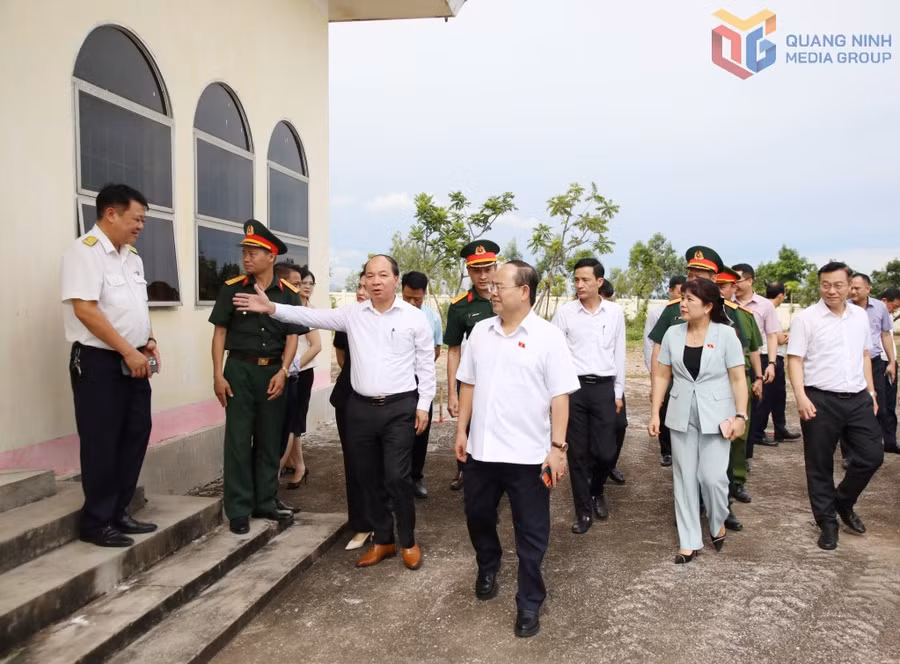 Đồng chí Quản Minh Cường, Ủy viên Trung ương Đảng, Bí thư Tỉnh ủy, Trưởng Đoàn ĐBQH tỉnh khảo sát một số công trình trên địa bàn phường Bãi Cháy.