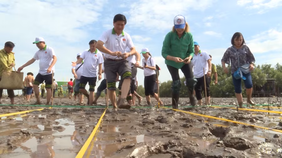 ca mau dong bo giai phap cuu bo bien (4).jpg