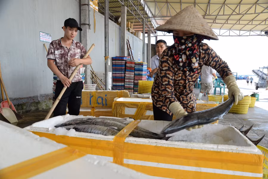 nam-dinh-va-chuyen-go-the-vang-iuu-2.jpg