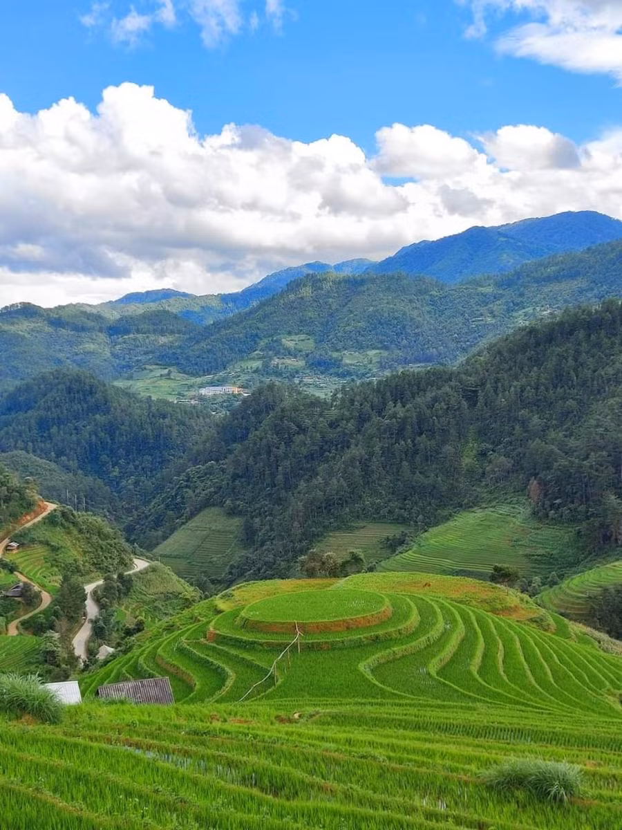mu cang chai ve dep sieu thuc hang dau the gioi (11).jpg
