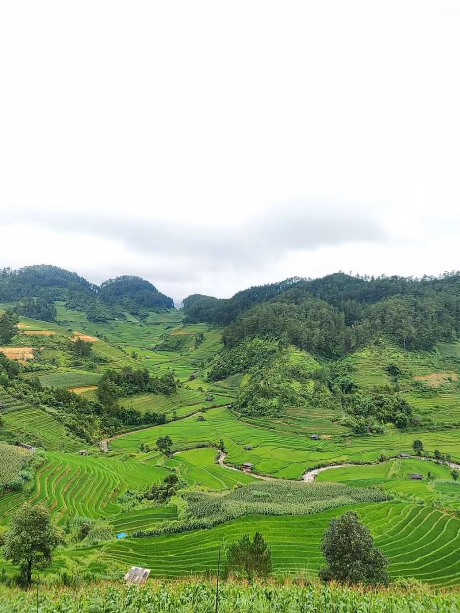 mu cang chai ve dep sieu thuc hang dau the gioi (12).jpg