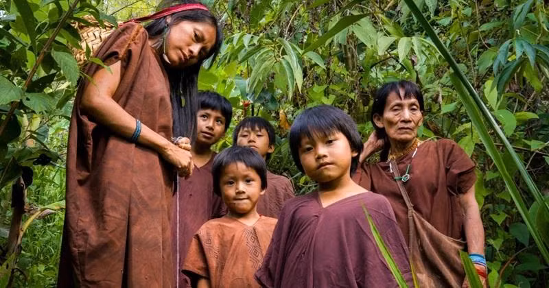 tho dan roi que huong vi bien doi khi hau (2).jpg