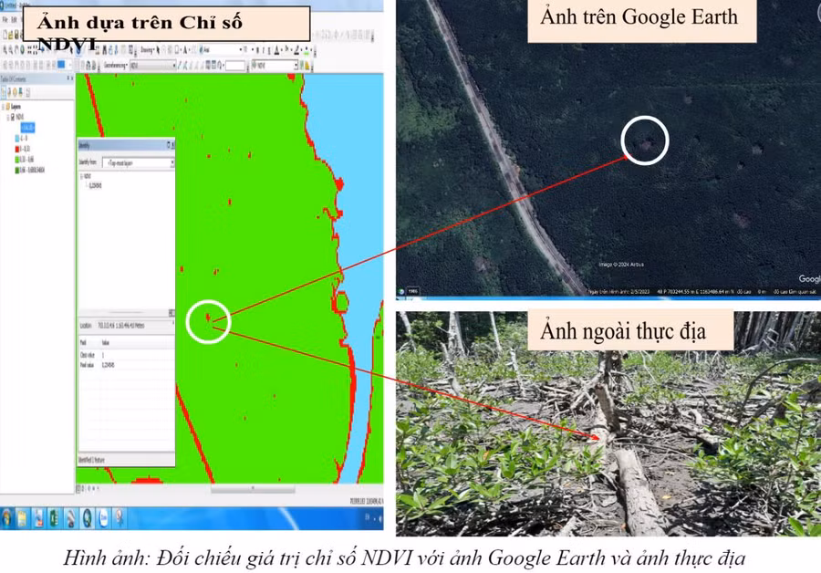 Đối chiếu giá trị chỉ số NDVI với ảnh Google Earth và ảnh thực địa.