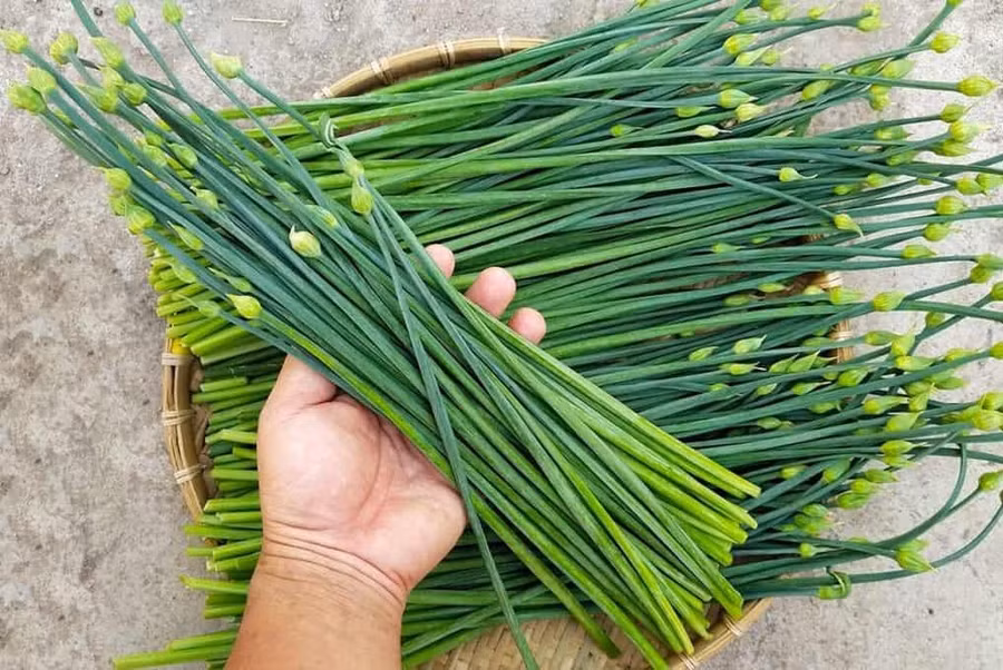 Lá hẹ chứa rất nhiều hoạt chất quý giá.