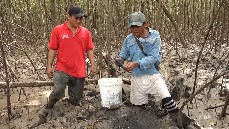 nghe-doc-la-vung-dat-mui-1.jpg