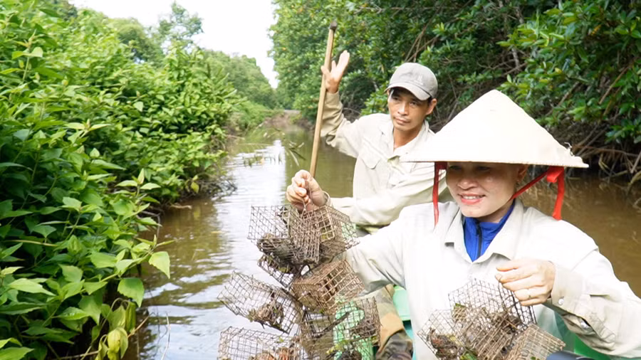 nghe-doc-la-vung-dat-mui-8.jpg