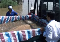 Những “quái ngư” khổng lồ ở Việt Nam ảnh 4