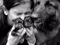 Chùm ảnh: Giây phút bình yên bên mái ấm gia đình