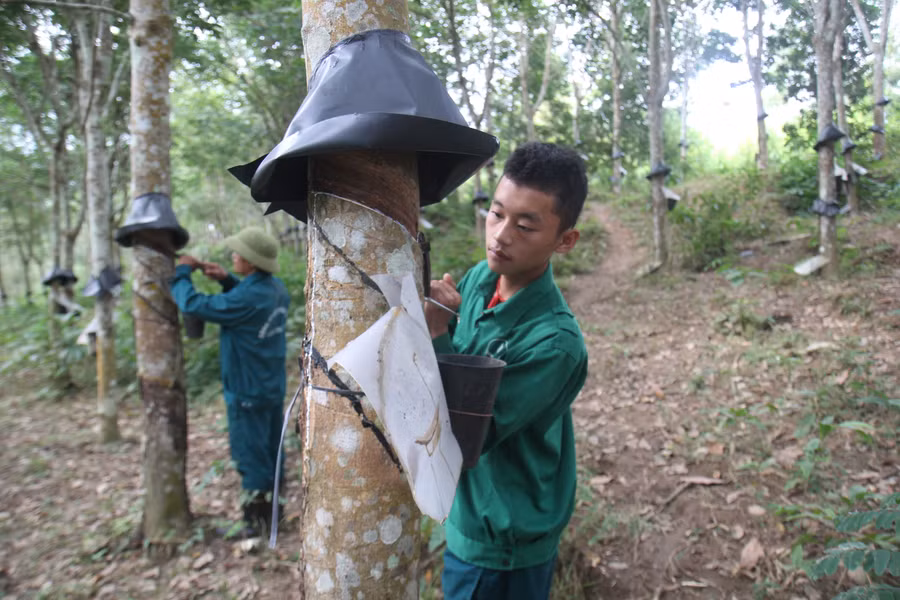 giam-ngheo-1.jpg