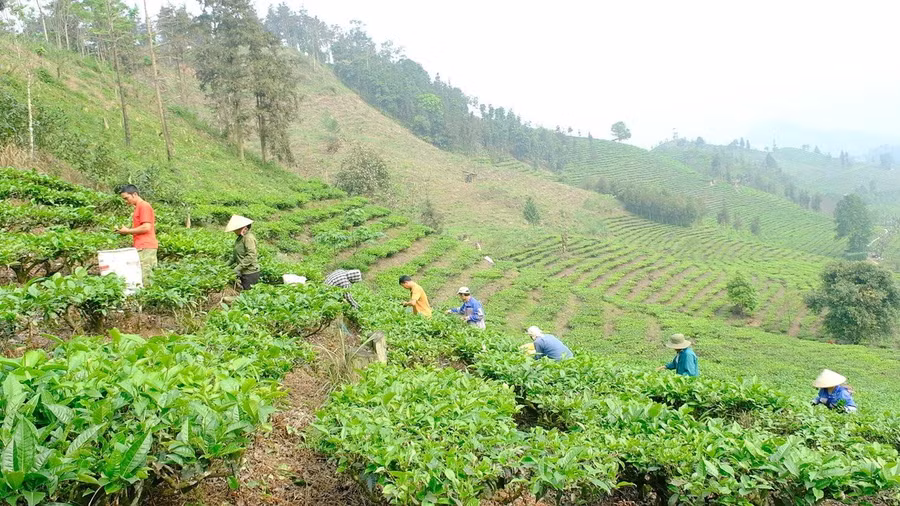 mương_khuong_3.jpg