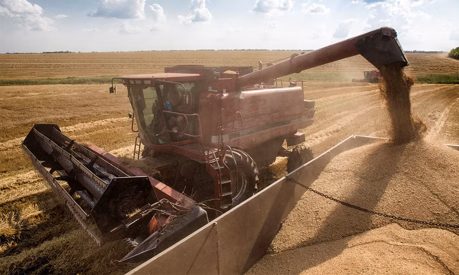 Ngũ cốc Ukraine vẫn được xuất khẩu qua các cảng nằm bên bờ Biển Đen. Ngũ cốc Ukraine vẫn được xuất khẩu qua các cảng nằm bên bờ Biển Đen.