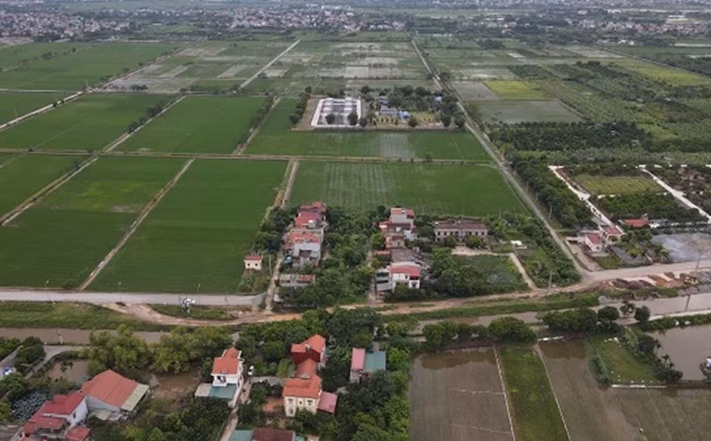 Ảnh minh họa.