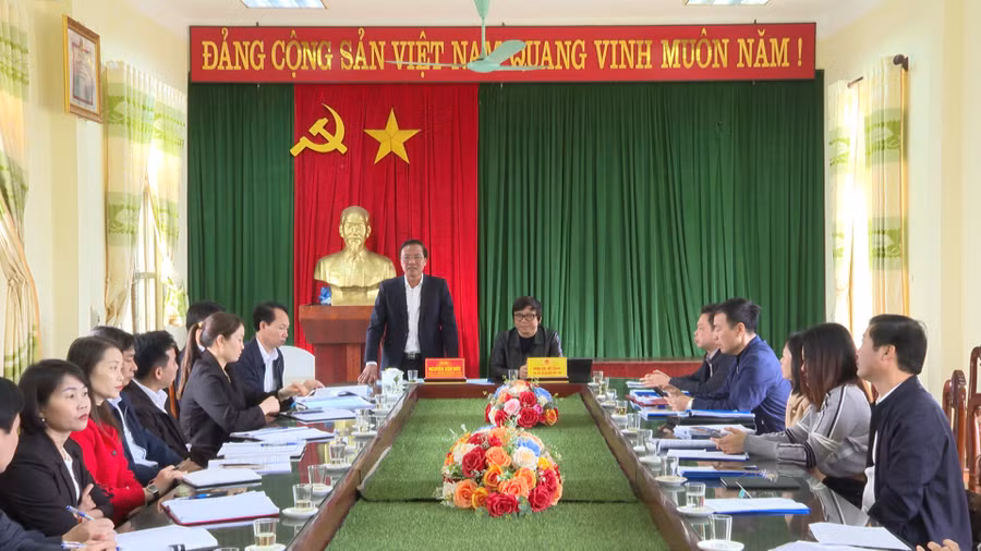 di-tung-ngo-2.jpg