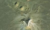 ixdodamjkz3hhhvvfyxd3j-970-80.jpg