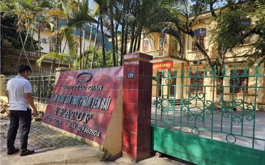 Công ty cổ phần Lâm nông thủy sản Yên Bái bị phạt 500 triệu đồng.