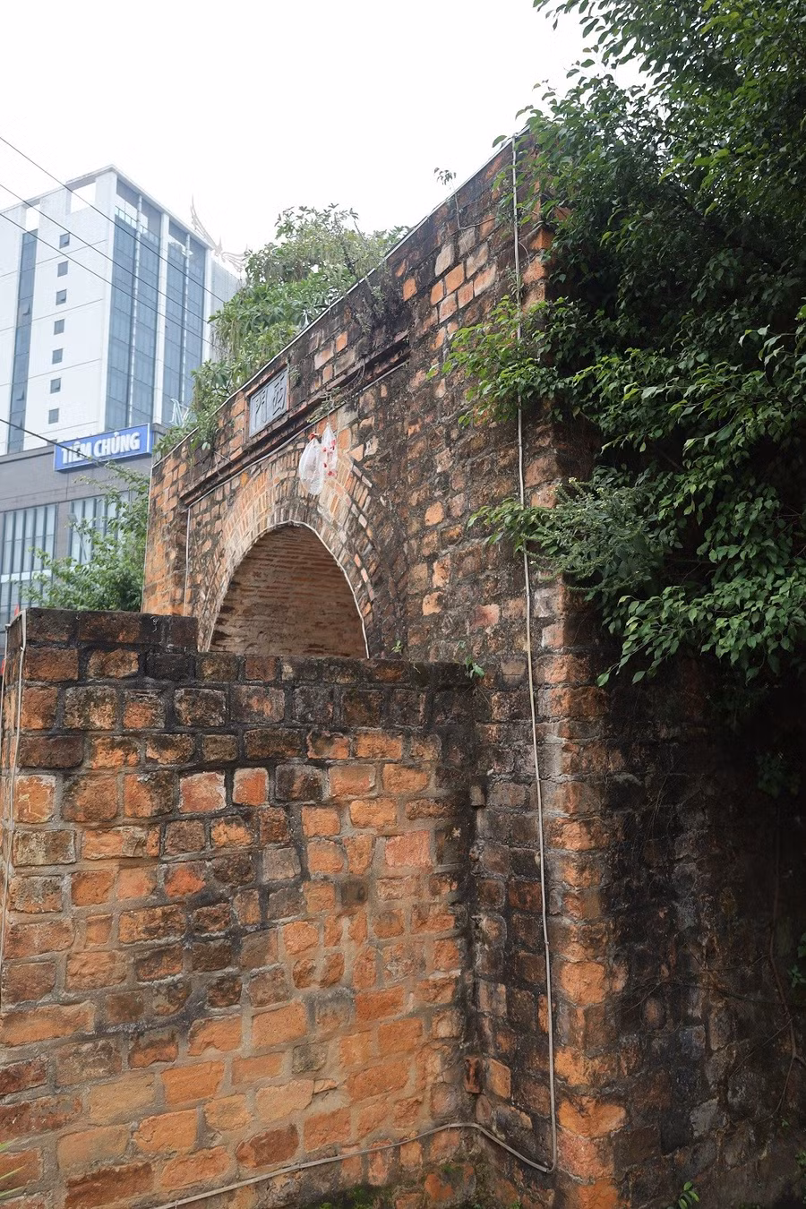 img-0418.jpg