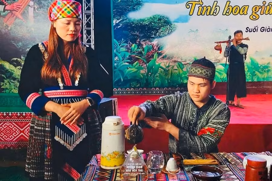 Trà Shan tuyết Suối Giàng được xem là "vàng xanh" giữa đại ngàn.