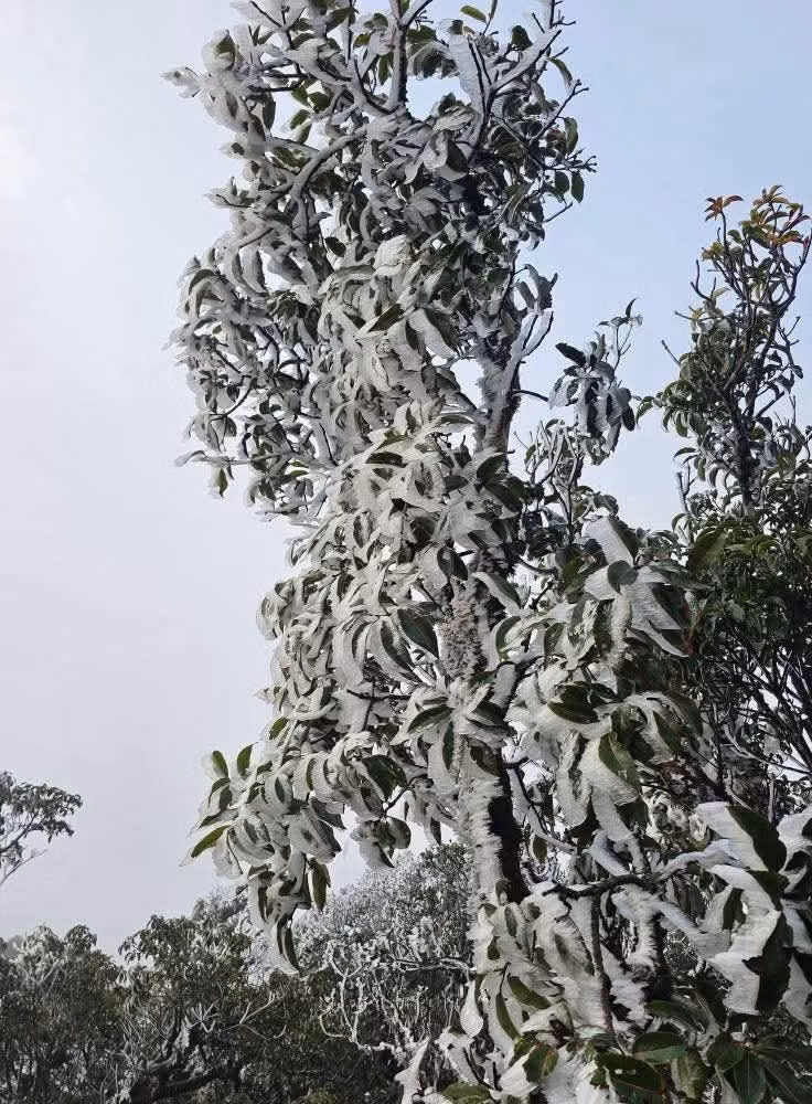 1000030572.jpg